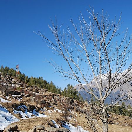 Auli Resort Joshīmath エクステリア 写真